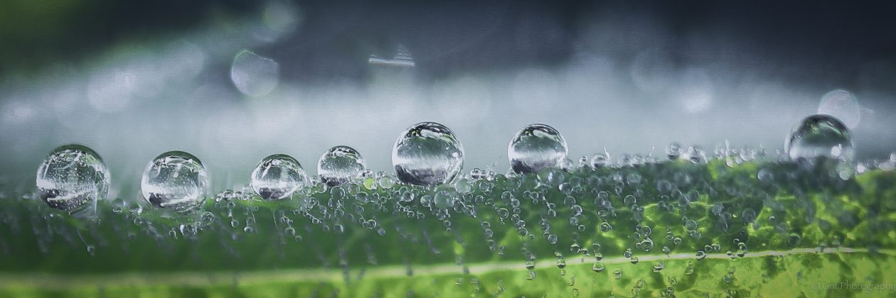 Grit Photography